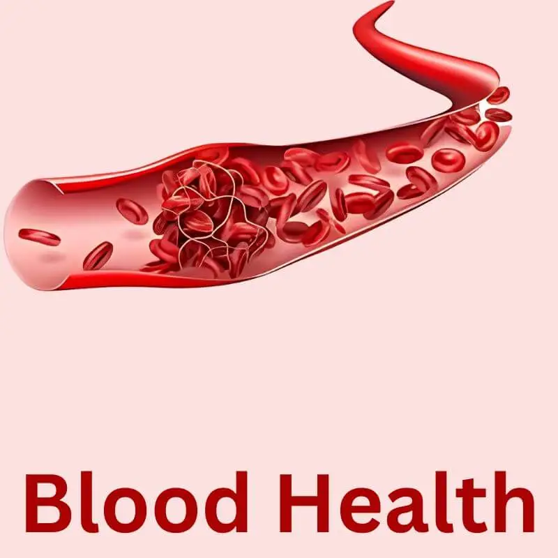 Blood Health