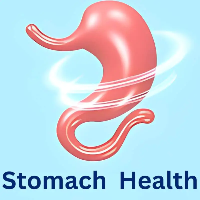 Stomach Health